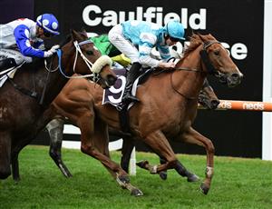 MELBOURNE, AUSTRALIA - JULY 23: Jye McNeil riding Big Apple winning Race 6, the Senet Gambling Law Experts Handicap, during Melbourne Racing at Caulfield Racecourse on July 23, 2022 in Melbourne, Australia. (Photo by Vince Caligiuri/Getty Images)