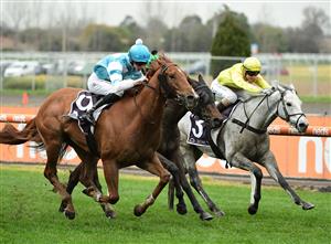 MELBOURNE, AUSTRALIA - JULY 23: Jye McNeil riding Big Apple winning Race 6, the Senet Gambling Law Experts Handicap, during Melbourne Racing at Caulfield Racecourse on July 23, 2022 in Melbourne, Australia. (Photo by Vince Caligiuri/Getty Images)