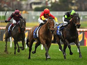 MELBOURNE, AUSTRALIA - JULY 23: Jye McNeil riding King of Sparta defeats Damien Oliver riding Scallopini (r) in Race 8, the Big Screen Company Bletchingly Stakes during Melbourne Racing at Caulfield Racecourse on July 23, 2022 in Melbourne, Australia. (Photo by Vince Caligiuri/Getty Images)