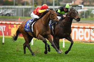 MELBOURNE, AUSTRALIA - JULY 23: Jye McNeil riding King of Sparta defeats Damien Oliver riding Scallopini (r) in Race 8, the Big Screen Company Bletchingly Stakes during Melbourne Racing at Caulfield Racecourse on July 23, 2022 in Melbourne, Australia. (Photo by Vince Caligiuri/Getty Images)