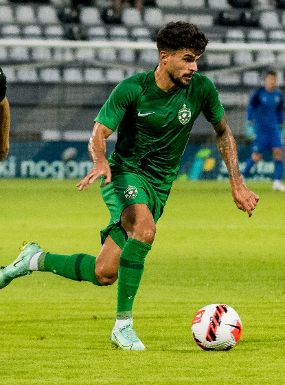 Ludogorets Razgrad vs Shamrock Rovers prediction, preview, team