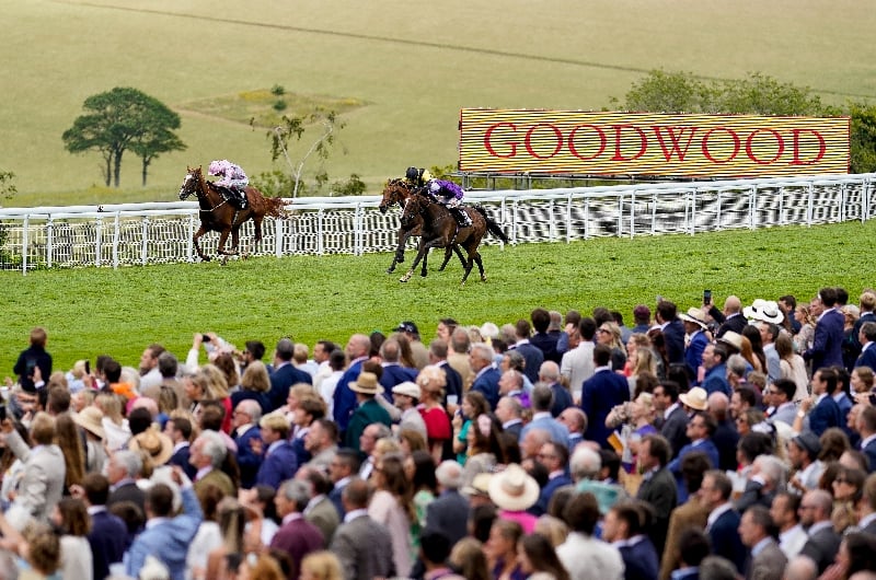 Glorious Goodwood Day 2 Tips - Seven ITV selections on Sussex Stakes day