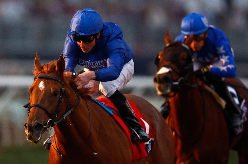 Sussex stakes betting tips instaforex pemulas
