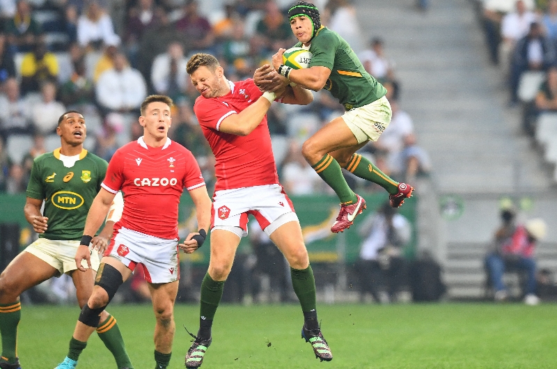 south africa rugby