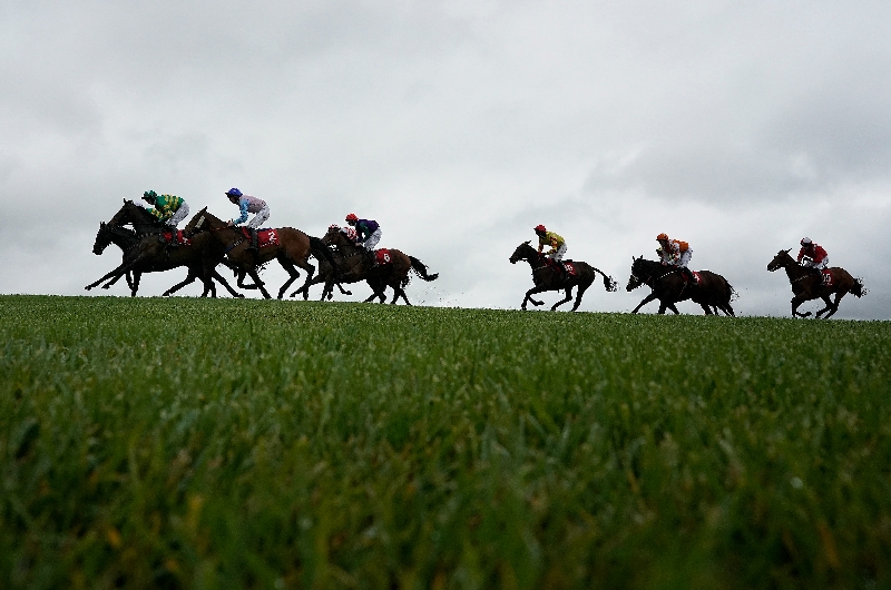 punchestown chase
