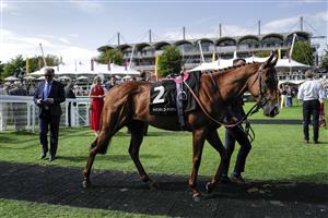 CHICHESTER, ENGLAND - JULY 28: Pre parade ring during day three of the Qatar Goodwood Festival at Goodwood Racecourse on July 28, 2022 in Chichester, England. (Photo by Alan Crowhurst/Getty Images)