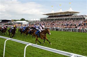 Stewards' Cup Live Stream - Watch the Glorious Goodwood race online