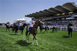 CHICHESTER, ENGLAND - JULY 29: Circling at the start for The Coral Goodwood Handicap during day four of the Qatar Goodwood Festival at Goodwood Racecourse on July 29, 2022 in Chichester, England. (Photo by Alan Crowhurst/Getty Images)