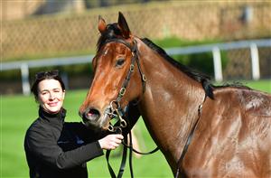 MELBOURNE, AUSTRALIA - JULY 30: Winnertakesitall after winning Race 3, the Ladbrokes Mates Mode Handicap, during Melbourne Racing at Moonee Valley Racecourse on July 30, 2022 in Melbourne, Australia. (Photo by Vince Caligiuri/Getty Images)