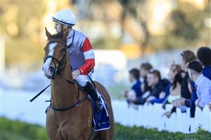 SYDNEY, AUSTRALIA - JULY 30: Jason Collett on Easy Single looks at the replay as he returns to scale after winning race 9 the Bill Picken Oam Handicap during Sydney Racing at Rosehill Gardens on July 30, 2022 in Sydney, Australia. (Photo by Mark Evans/Getty Images)