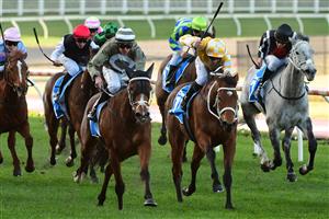 MELBOURNE, AUSTRALIA - JULY 30: Billy Egan riding Spanish Tides defeats Beau Mertens riding Thalassophile in Race 6, the Mia Kleer Hand Sanitiser Handicap, during Melbourne Racing at Moonee Valley Racecourse on July 30, 2022 in Melbourne, Australia. (Photo by Vince Caligiuri/Getty Images)