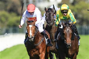 SYDNEY, AUSTRALIA - JULY 30: Brenton Avdulla (yellow) on Elusive Jewel during Sydney Racing at Rosehill Gardens on July 30, 2022 in Sydney, Australia. (Photo by Mark Evans/Getty Images)