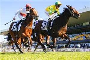 SYDNEY, AUSTRALIA - JULY 30: Brenton Avdulla (yellow) on Elusive Jewel during Sydney Racing at Rosehill Gardens on July 30, 2022 in Sydney, Australia. (Photo by Mark Evans/Getty Images)