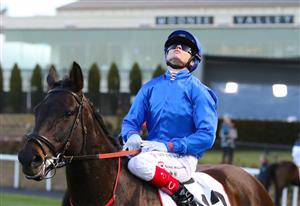MELBOURNE, AUSTRALIA - JULY 30: Craig Williams riding Lackeen looks to the heavens after winning Race 8, the Ranvet Travis Harrison Cup, during Melbourne Racing at Moonee Valley Racecourse on July 30, 2022 in Melbourne, Australia. (Photo by Vince Caligiuri/Getty Images)