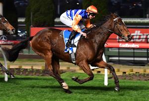 MELBOURNE, AUSTRALIA - JULY 30: Damian Lane riding Home Rule winning Race 9, the Dominant.com.au Handicap, during Melbourne Racing at Moonee Valley Racecourse on July 30, 2022 in Melbourne, Australia. (Photo by Vince Caligiuri/Getty Images)