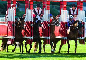 MELBOURNE, AUSTRALIA - JULY 30: Damien Oliver riding Not Usual Glorious (R) jumps out of the barriers before winning Race 1, the Dominant Cleaning Solutions Bm100, during Melbourne Racing at Moonee Valley Racecourse on July 30, 2022 in Melbourne, Australia. (Photo by Vince Caligiuri/Getty Images)