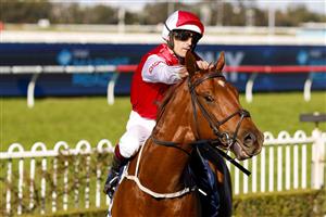 SYDNEY, AUSTRALIA - JULY 30: Hugh Bowman on Pizarro returns to scale after winning race 6 the Atc Thank You Stable Staff Handicap during Sydney Racing at Rosehill Gardens on July 30, 2022 in Sydney, Australia. (Photo by Mark Evans/Getty Images)
