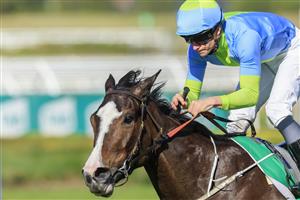 SYDNEY, AUSTRALIA - JULY 30: James McDonald on Shades Of Rose wins race 5 the Nswroa Trophy during Sydney Racing at Rosehill Gardens on July 30, 2022 in Sydney, Australia. (Photo by Mark Evans/Getty Images)