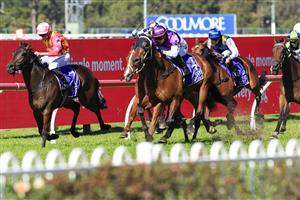 SYDNEY, AUSTRALIA - JULY 30: Kerrin McEvoy on Contributingfactor wins race 3 the Midway Handicap during Sydney Racing at Rosehill Gardens on July 30, 2022 in Sydney, Australia. (Photo by Mark Evans/Getty Images)