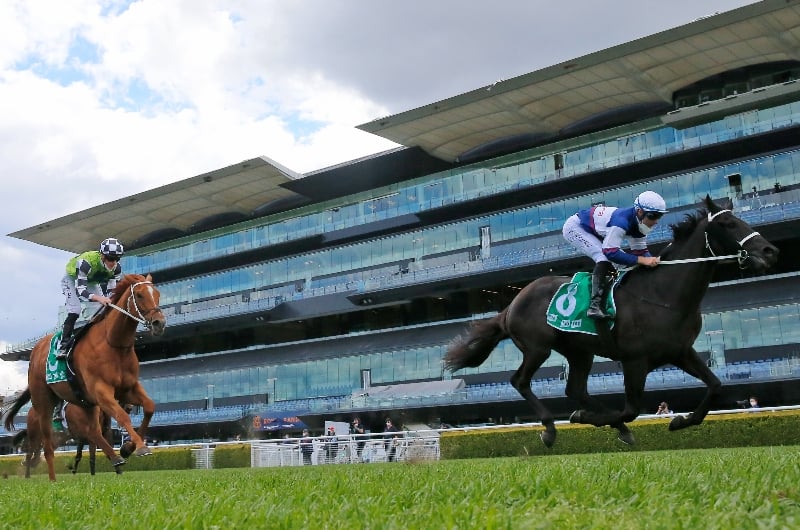 Coffs Harbour Racing Tips, Best Bets & Odds Today's Betting Tips for
