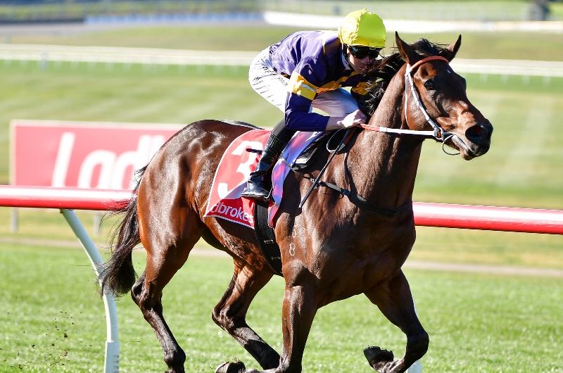 Flemington Betting Tips