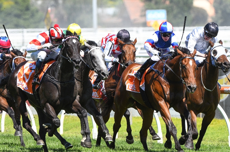 Murray Bridge Tips for 06.08.2022