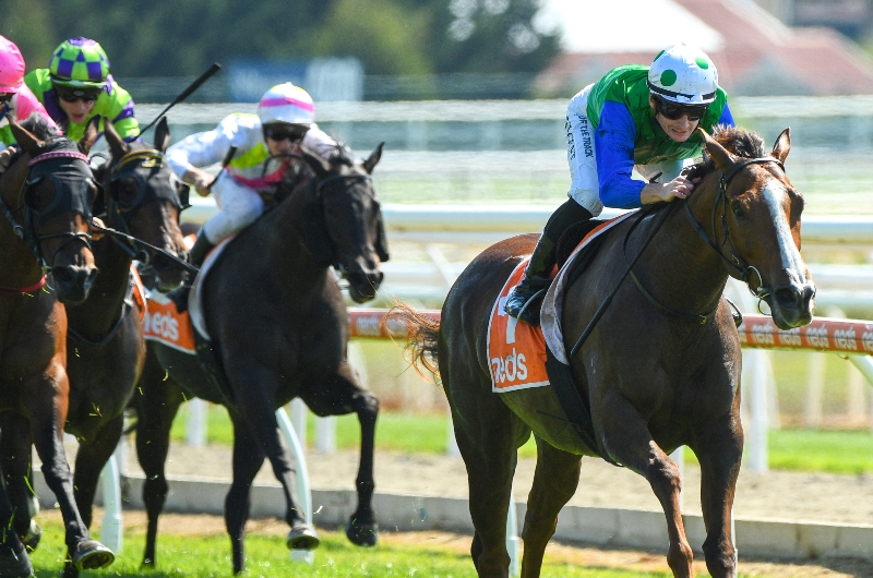 Big Bets for 06.08.2022