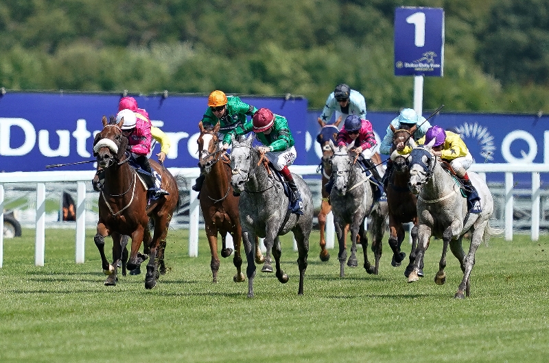 shergar cup ascot