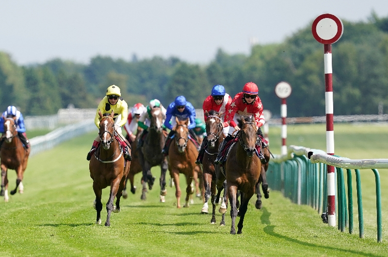 haydock park