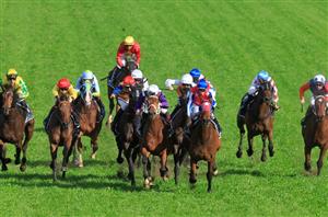 Saturday Blackbookers & Horses To Follow from August 13