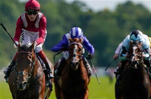 2022 Juddmonte International Stakes Tips - Will Baaeed be beaten at York?