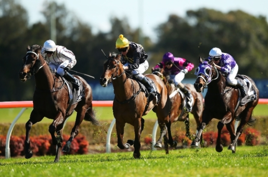 Canterbury Betting Tips for June 7, 2023 Waller & JMac combine early