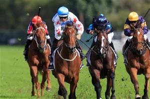 Winx Stakes 2022 Barriers & Final Field