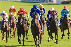 2022 Winx Stakes Barrier Draw & Final Field