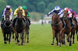 Nunthorpe Stakes Live Stream - Watch this York race online