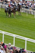 YORK, ENGLAND - AUGUST 18: Daniel Tudhope riding Blue For You (R, white cap) win The Clipper Logistics Handicap at York Racecourse on August 18, 2022 in York, England. (Photo by Alan Crowhurst/Getty Images)