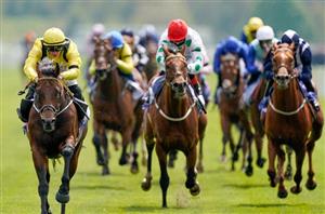 Ebor Handicap Live Stream - Watch this York race online
