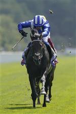 YORK, ENGLAND - AUGUST 20: Jim Crowley riding Alflaila (blue) win The Sky Bet And Symphony Group Strensall Stakes at York Racecourse on August 20, 2022 in York, England. (Photo by Alan Crowhurst/Getty Images)