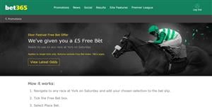 Ebor Day Offer - No Deposit £5 Free Bet at York on Saturday