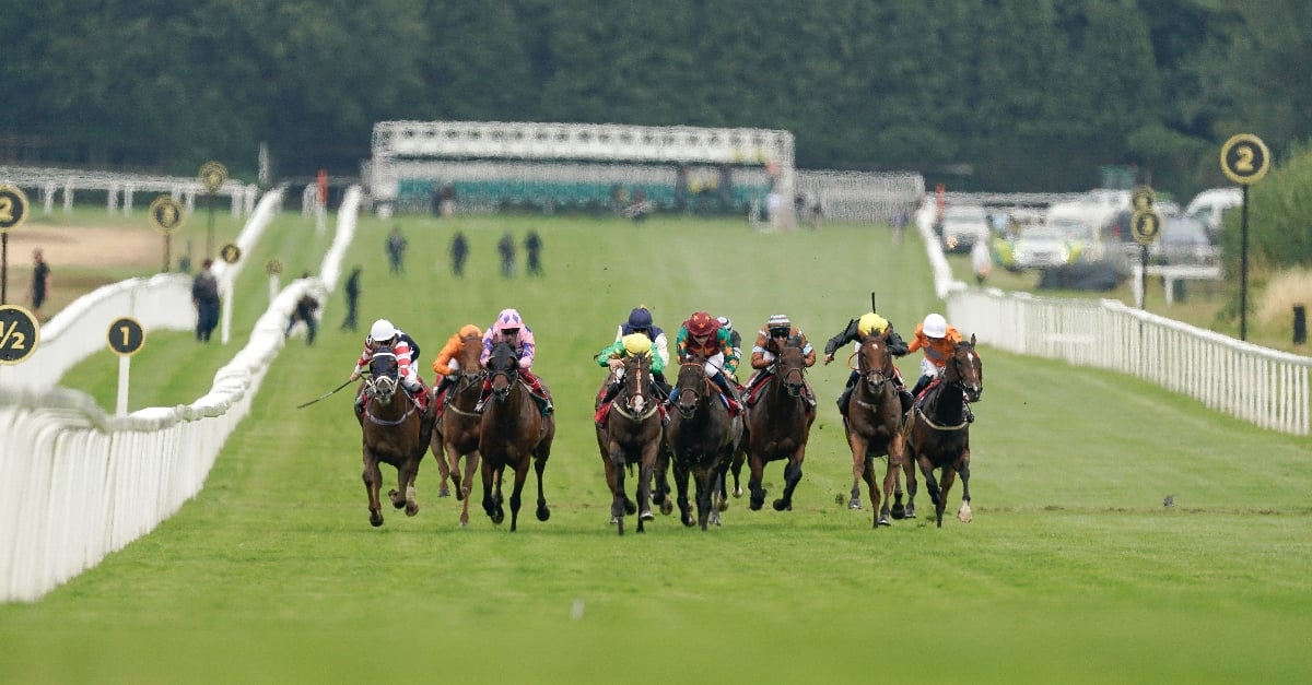 Sunday Series Tips ITV Racing Tips at Sandown August 21