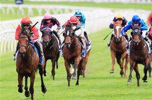 Australian Racehorse of the Year