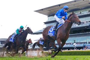 Randwick Highlights - August 20