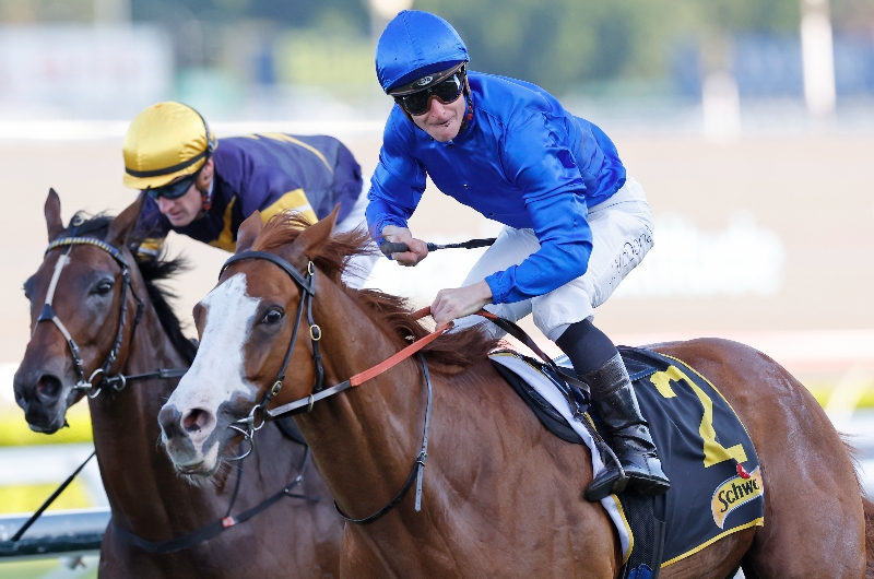Memsie Stakes Tips Free Betting Previews And Best Bets For The 2022 