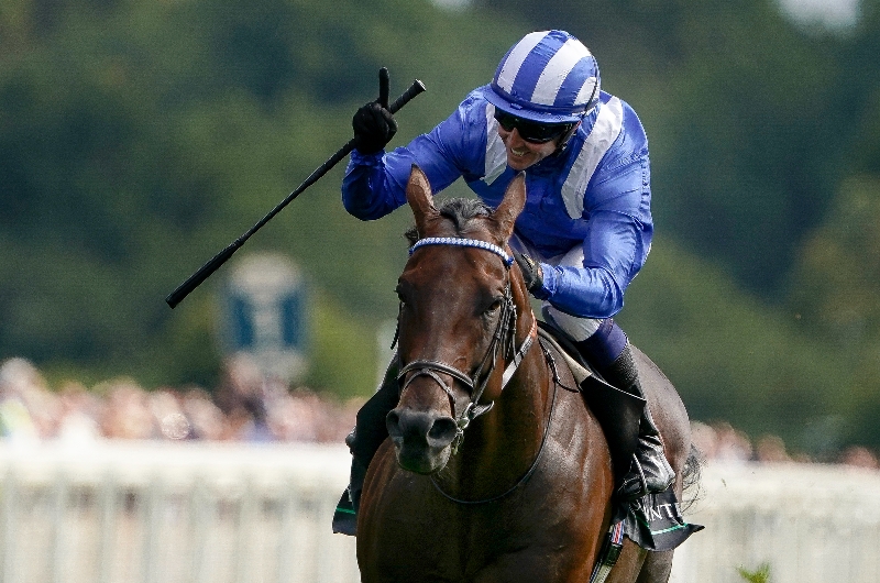 When is the 2023 Juddmonte International Stakes?