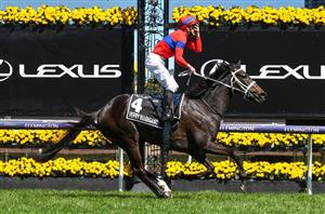 2022 Melbourne Cup Tips - Best Bets to win the Flemington race
