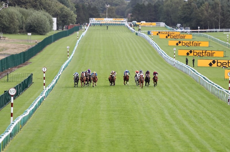 haydock sprint cup