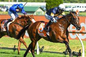 Memsie Stakes 2022 Barriers & Final Field