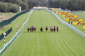 2022 Sprint Cup Odds - Minzaal now tops in Haydock betting