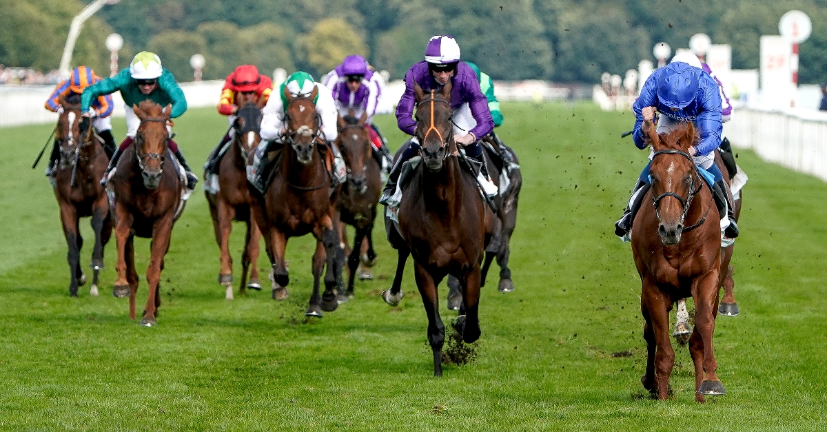 st leger betting 2022 gmc