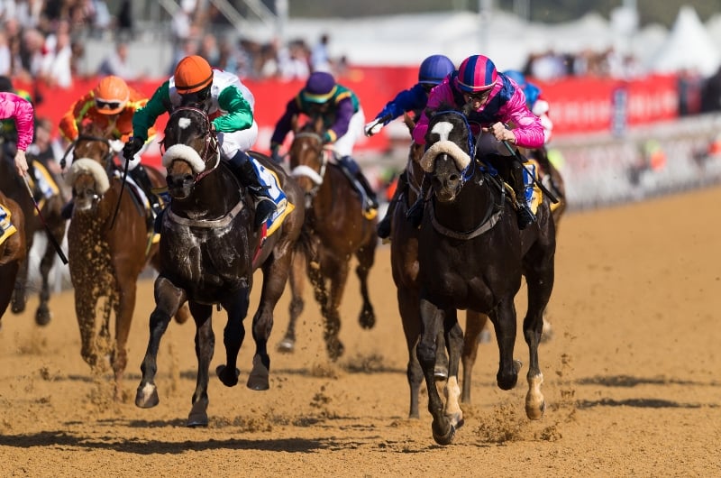 greyville racecourse